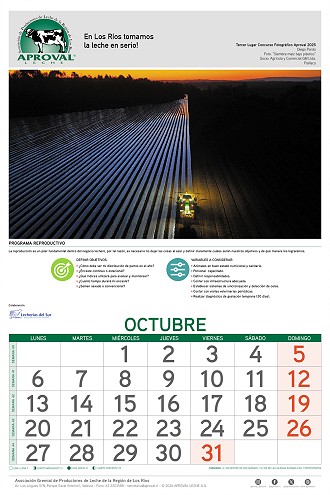 Calendario Aproval