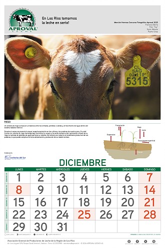 Calendario Aproval