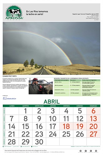 Calendario Aproval