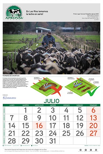 Calendario Aproval