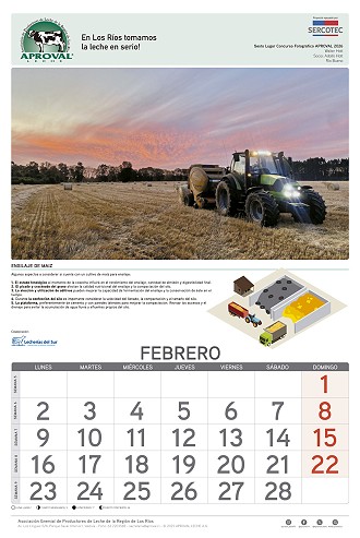 Calendario Aproval