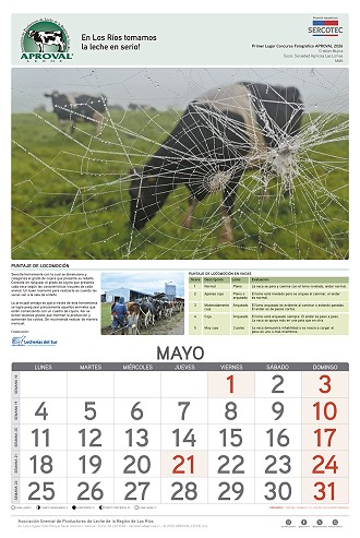 Calendario Aproval