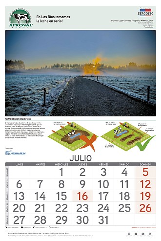Calendario Aproval