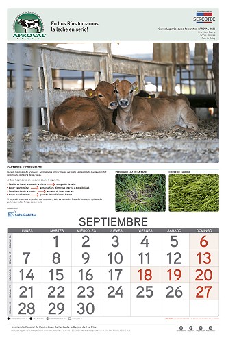 Calendario Aproval