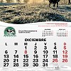 calendario2021-12