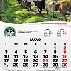 calendario2021-5
