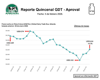 Precio Internacional